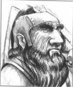 Vollun